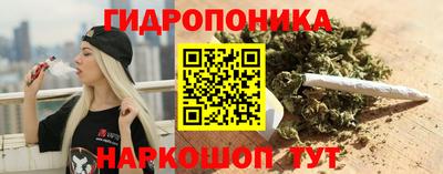 ГАЛЛЮЦИНОГЕННЫЕ ГРИБЫ Аргун